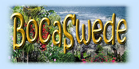 Bocaswede Logo